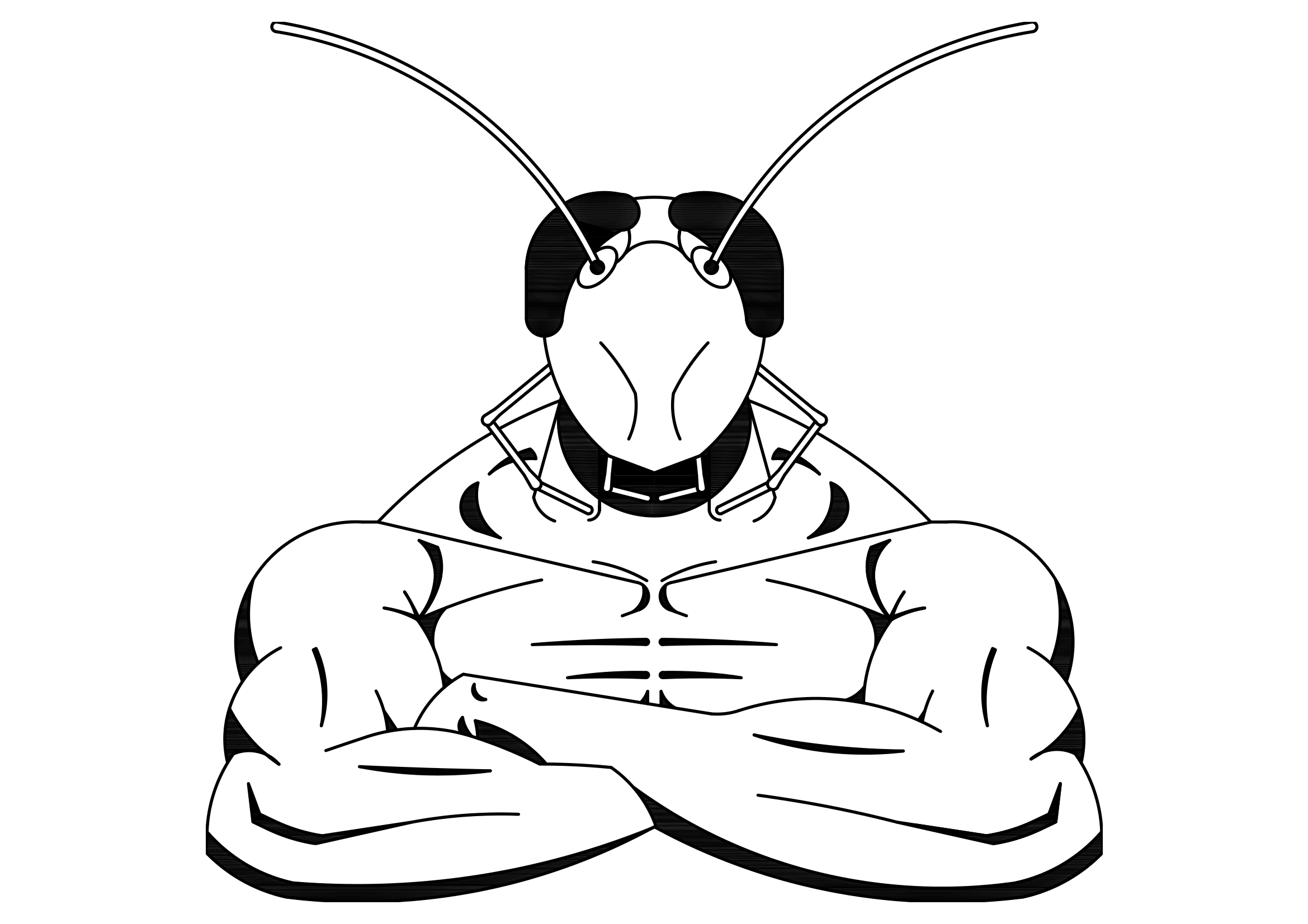 Csiszár Dániel logója