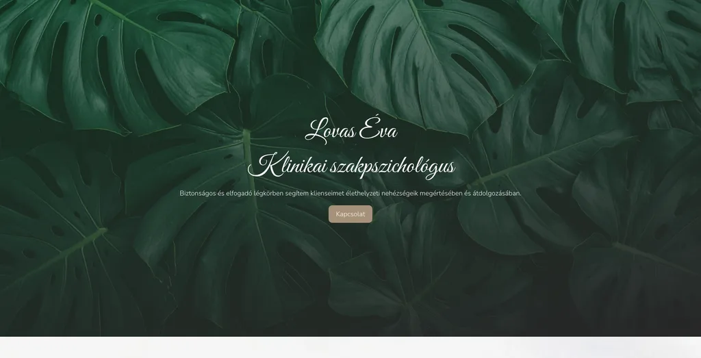Screenshot of the lovaseva.hu website we built